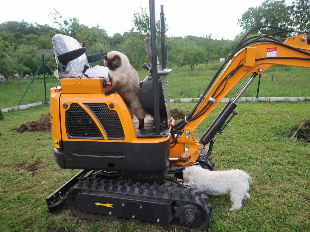 Naši odchovanci - Ragdoll koťata